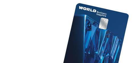 World Business Sapphire Kart